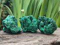 Natural Silky Malachite Specimens x 13 From Kasompe, Congo - Toprock Gemstones and Minerals 