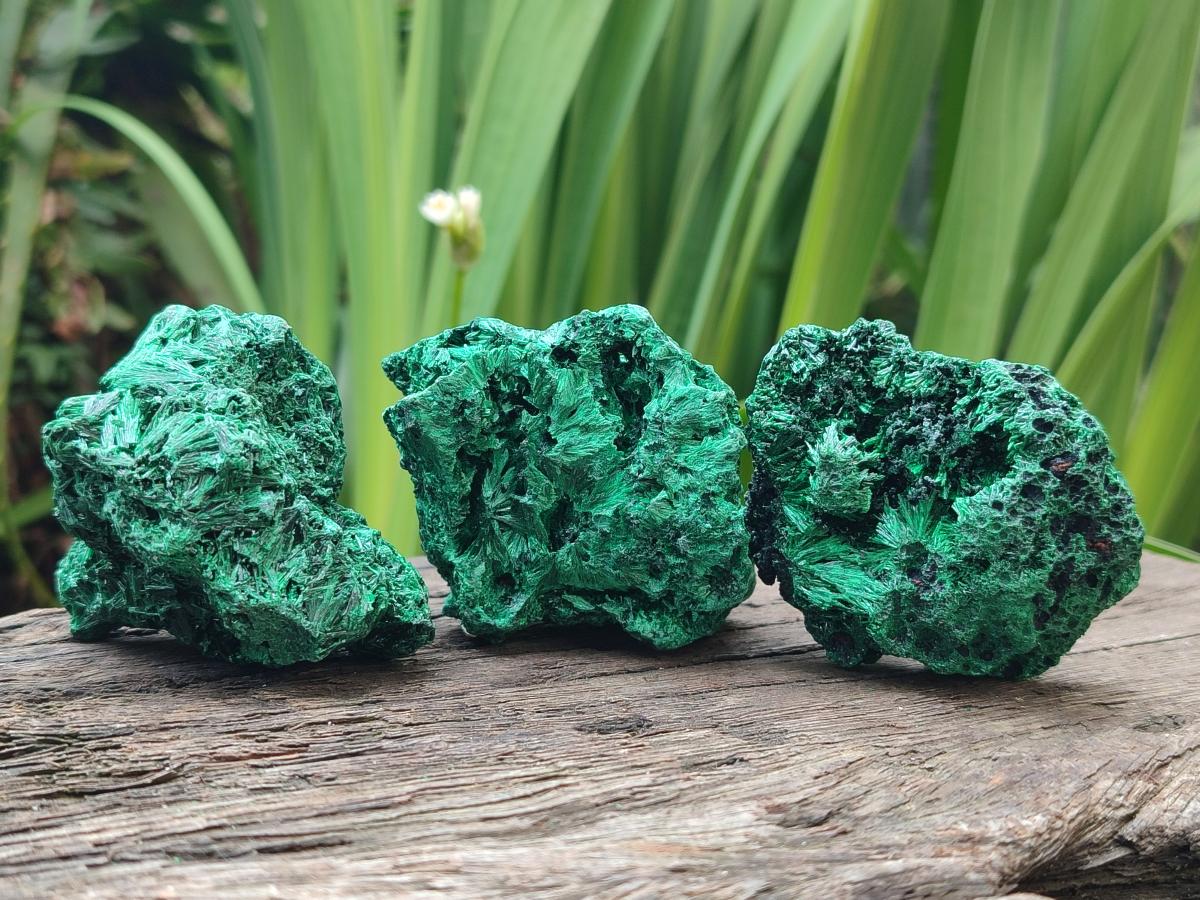 Natural Silky Malachite Specimens x 13 From Kasompe, Congo - Toprock Gemstones and Minerals 