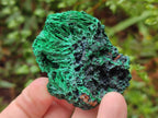 Natural Silky Malachite Specimens x 13 From Kasompe, Congo - Toprock Gemstones and Minerals 