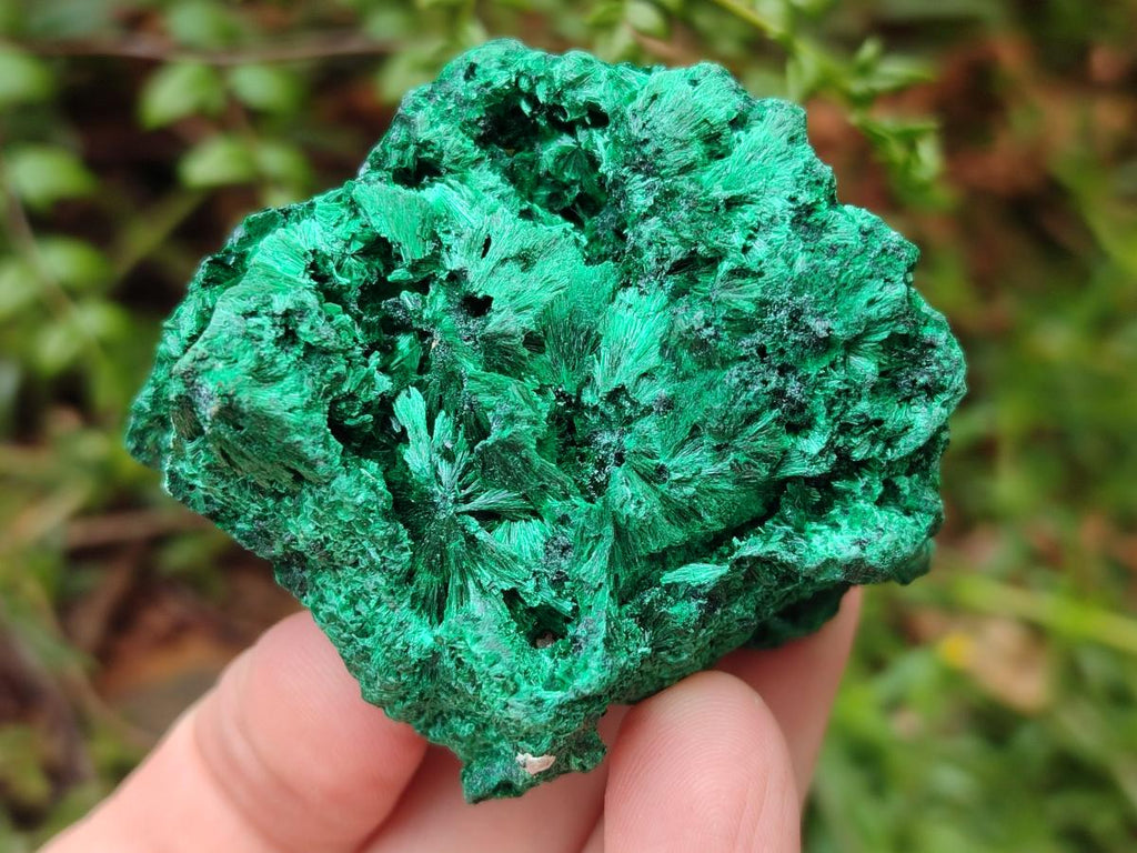 Natural Silky Malachite Specimens x 13 From Kasompe, Congo - Toprock Gemstones and Minerals 