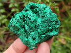 Natural Silky Malachite Specimens x 13 From Kasompe, Congo - Toprock Gemstones and Minerals 