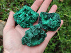 Natural Silky Malachite Specimens x 13 From Kasompe, Congo - Toprock Gemstones and Minerals 