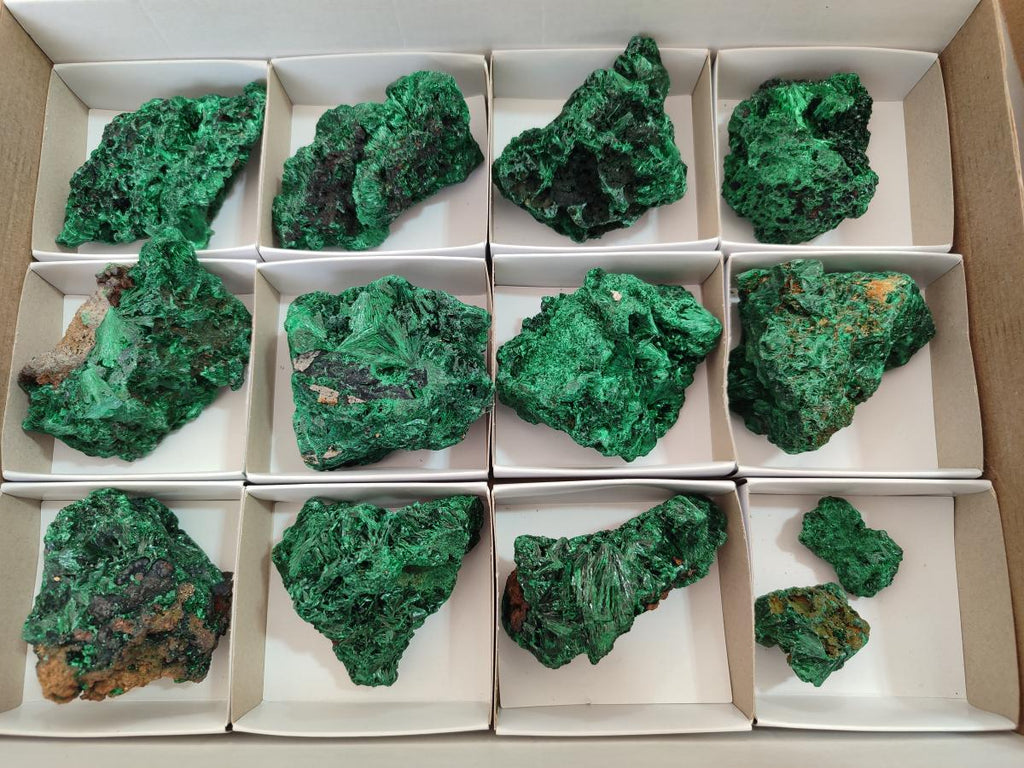 Natural Silky Malachite Specimens x 13 From Kasompe, Congo - Toprock Gemstones and Minerals 