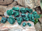 Natural Silky Malachite Specimens x 13 From Kasompe, Congo - Toprock Gemstones and Minerals 