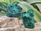 Natural Silky Malachite Specimens x 13 From Kasompe, Congo - Toprock Gemstones and Minerals 
