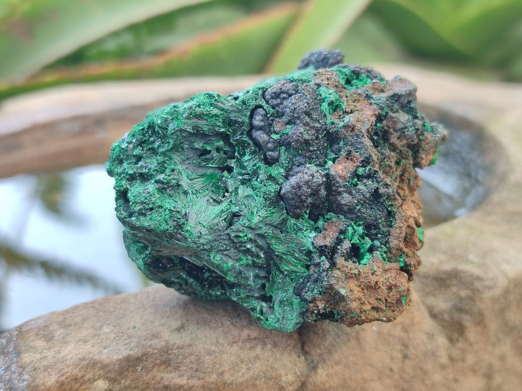 Natural Silky Malachite Specimens x 13 From Kasompe, Congo - Toprock Gemstones and Minerals 