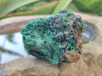 Natural Silky Malachite Specimens x 13 From Kasompe, Congo - Toprock Gemstones and Minerals 