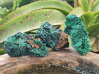 Natural Silky Malachite Specimens x 13 From Kasompe, Congo - Toprock Gemstones and Minerals 