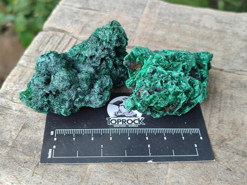 Natural Silky Malachite Specimens x 13 From Kasompe, Congo - Toprock Gemstones and Minerals 