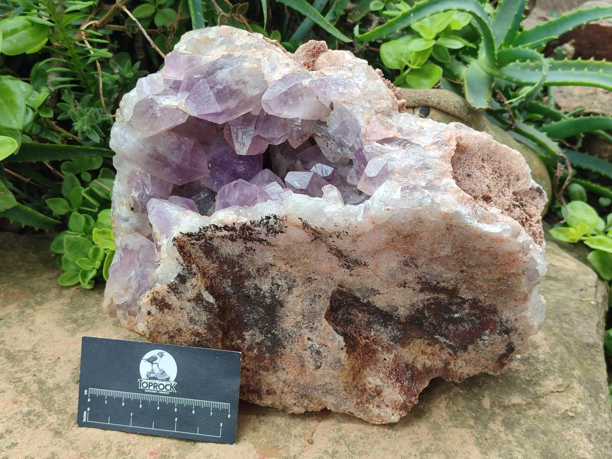 Natural Large Jacaranda Amethyst Cluster x 1 From Mumbwa, Zambia - Toprock Gemstones and Minerals 