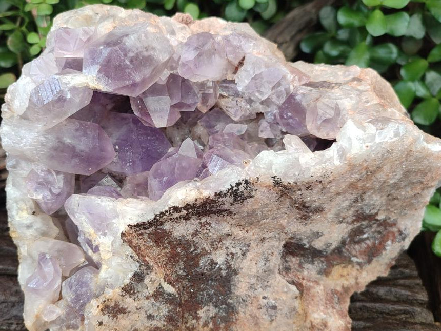 Natural Large Jacaranda Amethyst Cluster x 1 From Mumbwa, Zambia - Toprock Gemstones and Minerals 