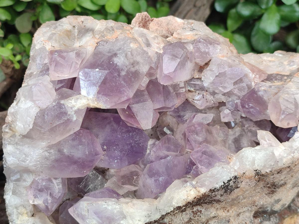 Natural Large Jacaranda Amethyst Cluster x 1 From Mumbwa, Zambia - Toprock Gemstones and Minerals 