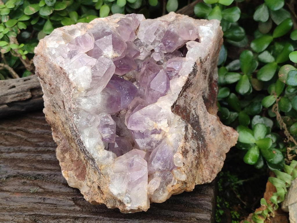 Natural Large Jacaranda Amethyst Cluster x 1 From Mumbwa, Zambia - Toprock Gemstones and Minerals 