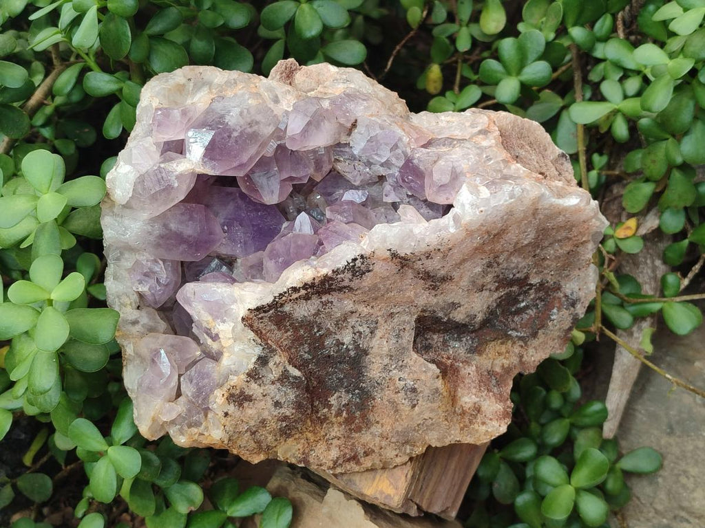 Natural Large Jacaranda Amethyst Cluster x 1 From Mumbwa, Zambia - Toprock Gemstones and Minerals 