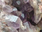Natural Large Jacaranda Amethyst Cluster x 1 From Mumbwa, Zambia - Toprock Gemstones and Minerals 