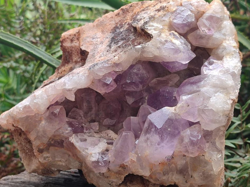 Natural Large Jacaranda Amethyst Cluster x 1 From Mumbwa, Zambia - Toprock Gemstones and Minerals 