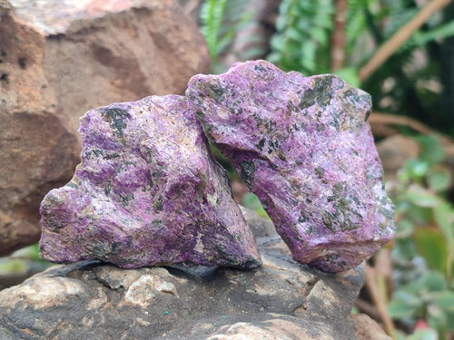Natural Cobbed Stichtite Specimens x 24 From Barberton, South Africa - Toprock Gemstones and Minerals 