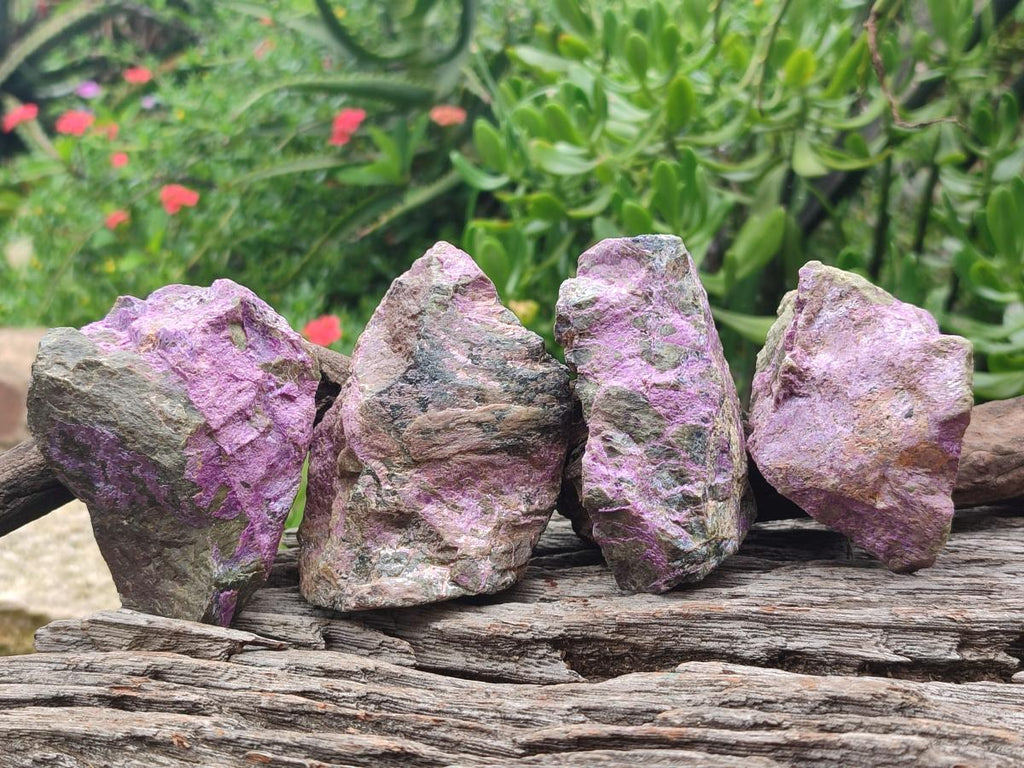 Natural Cobbed Stichtite Specimens x 24 From Barberton, South Africa - Toprock Gemstones and Minerals 