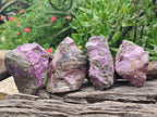 Natural Cobbed Stichtite Specimens x 24 From Barberton, South Africa - Toprock Gemstones and Minerals 