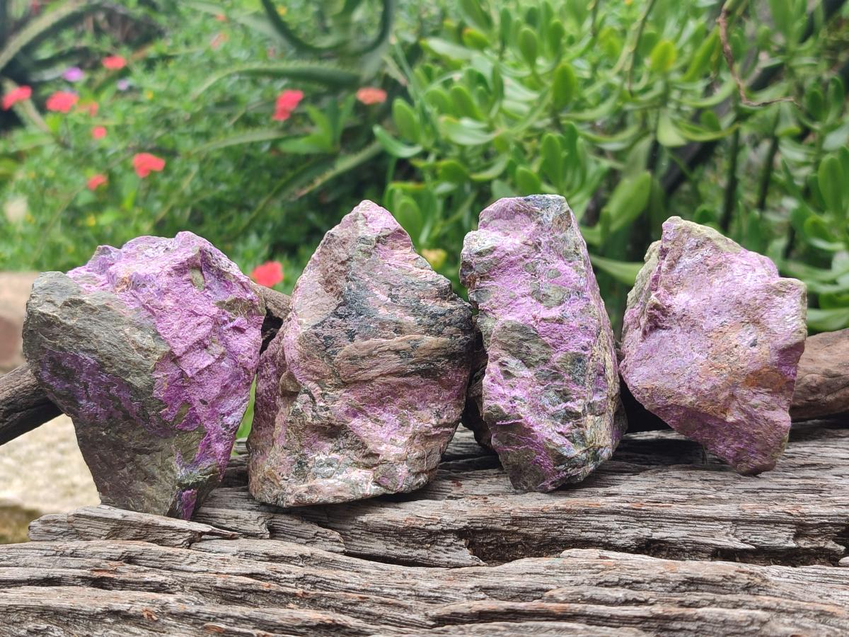 Natural Cobbed Stichtite Specimens x 24 From Barberton, South Africa - Toprock Gemstones and Minerals 