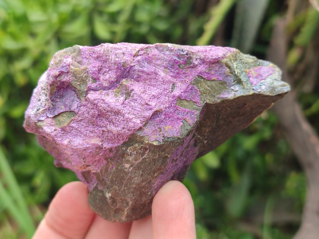 Natural Cobbed Stichtite Specimens x 24 From Barberton, South Africa - Toprock Gemstones and Minerals 