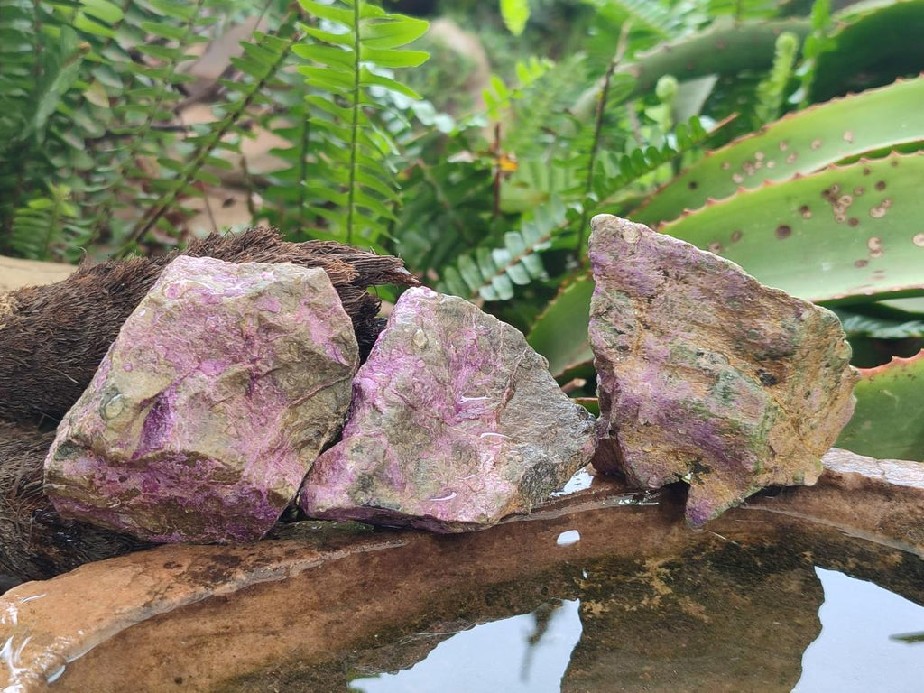 Natural Cobbed Stichtite Specimens x 24 From Barberton, South Africa - Toprock Gemstones and Minerals 