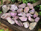 Natural Cobbed Stichtite Specimens x 24 From Barberton, South Africa - Toprock Gemstones and Minerals 