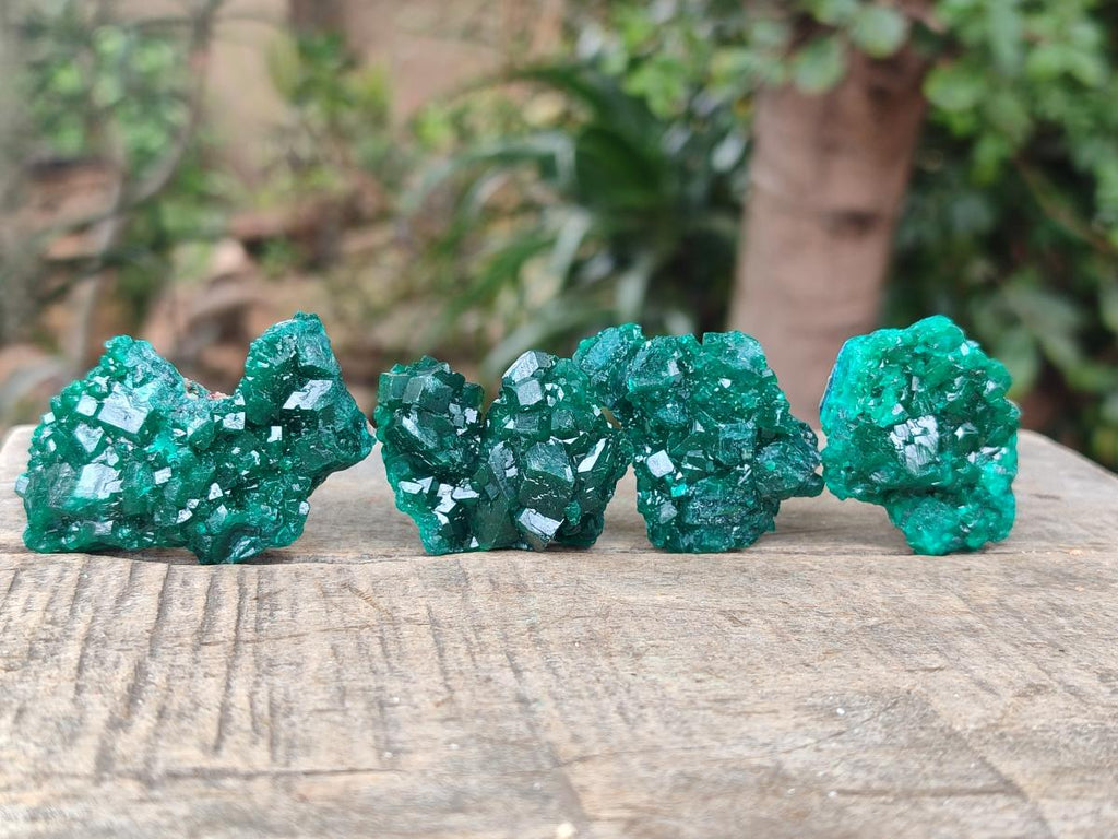 Natural Dioptase Specimens on Dolomite Matrix x 24 From Tantara Mine, Congo - Toprock Gemstones and Minerals 