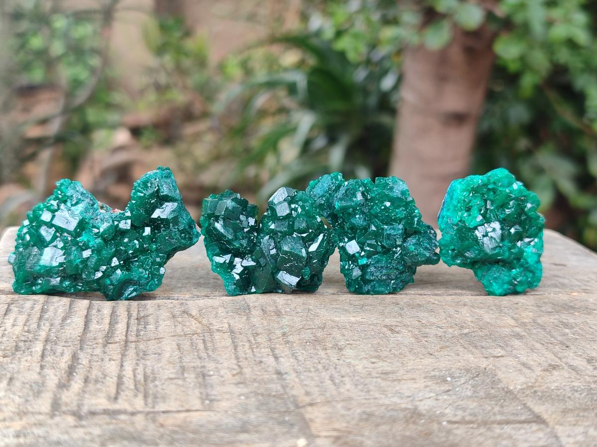 Natural Dioptase Specimens on Dolomite Matrix x 24 From Tantara Mine, Congo - Toprock Gemstones and Minerals 