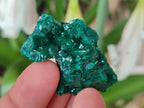 Natural Dioptase Specimens on Dolomite Matrix x 24 From Tantara Mine, Congo - Toprock Gemstones and Minerals 