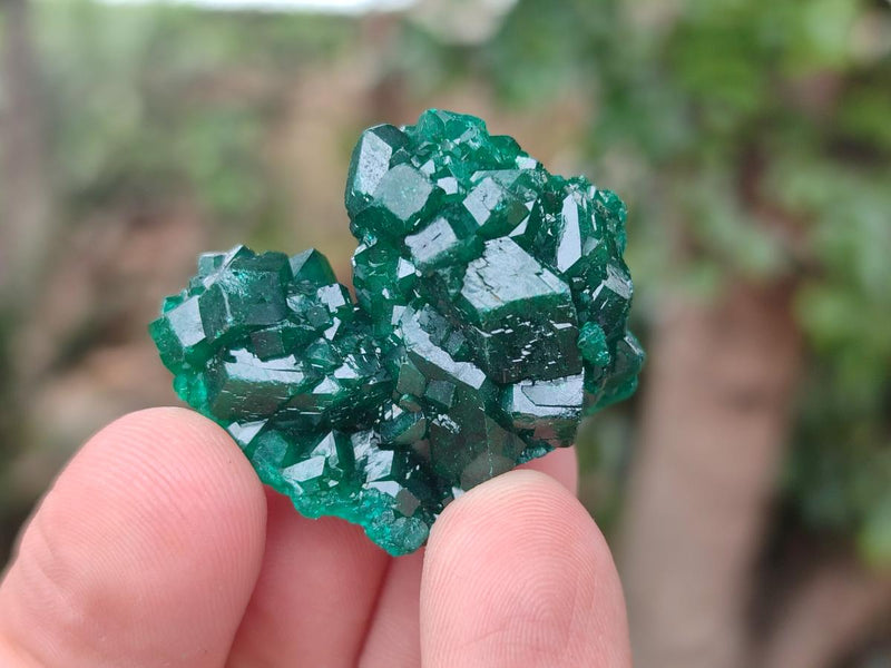 Natural Dioptase Specimens on Dolomite Matrix x 24 From Tantara Mine, Congo - Toprock Gemstones and Minerals 