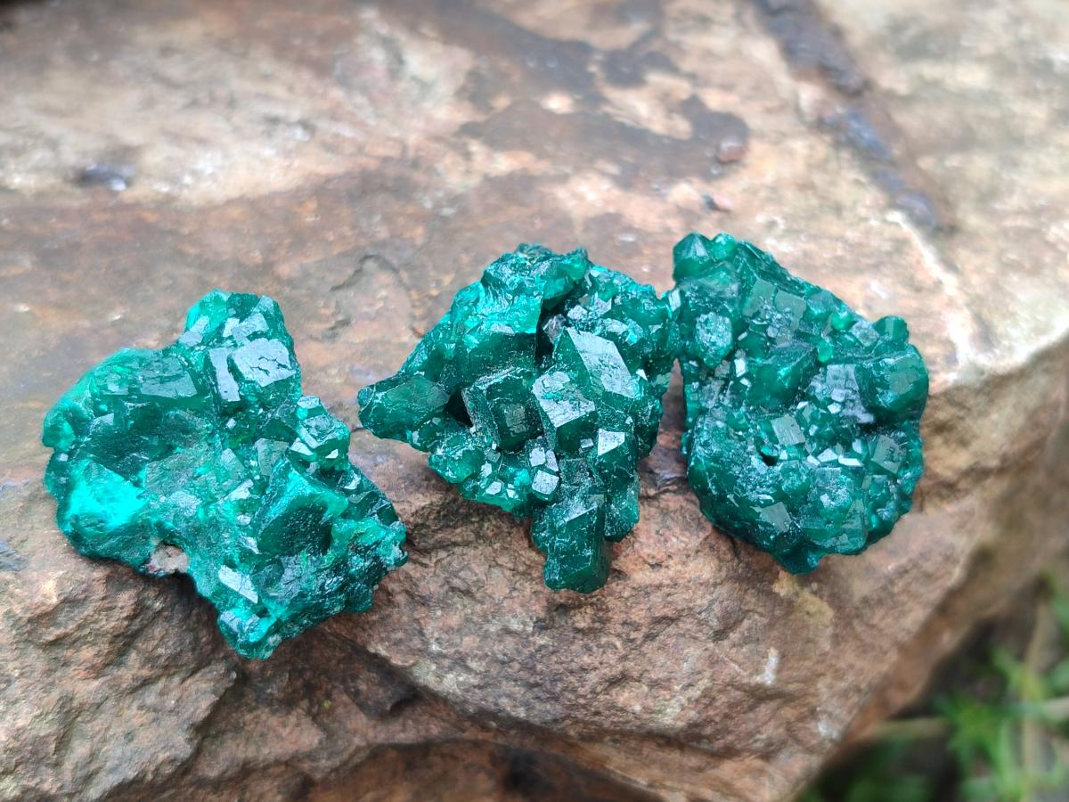 Natural Dioptase Specimens on Dolomite Matrix x 24 From Tantara Mine, Congo - Toprock Gemstones and Minerals 
