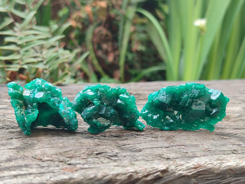 Natural Dioptase Specimens on Dolomite Matrix x 24 From Tantara Mine, Congo - Toprock Gemstones and Minerals 