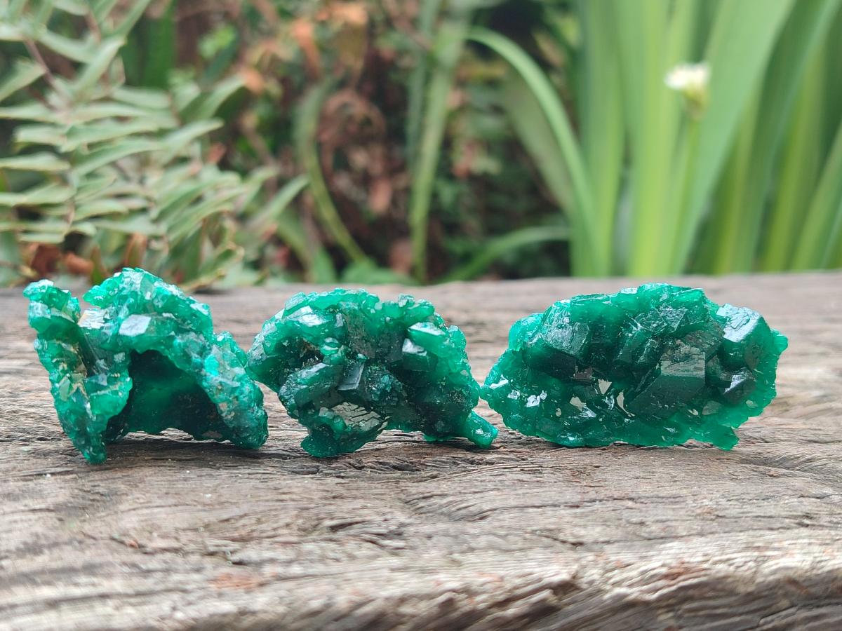 Natural Dioptase Specimens on Dolomite Matrix x 24 From Tantara Mine, Congo - Toprock Gemstones and Minerals 