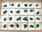 Natural Dioptase Specimens on Dolomite Matrix x 24 From Tantara Mine, Congo - Toprock Gemstones and Minerals 