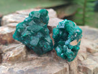 Natural Dioptase Specimens on Dolomite Matrix x 24 From Tantara Mine, Congo - Toprock Gemstones and Minerals 