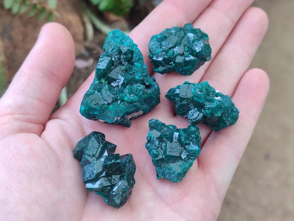 Natural Dioptase Specimens on Dolomite Matrix x 24 From Tantara Mine, Congo - Toprock Gemstones and Minerals 