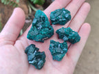 Natural Dioptase Specimens on Dolomite Matrix x 24 From Tantara Mine, Congo - Toprock Gemstones and Minerals 