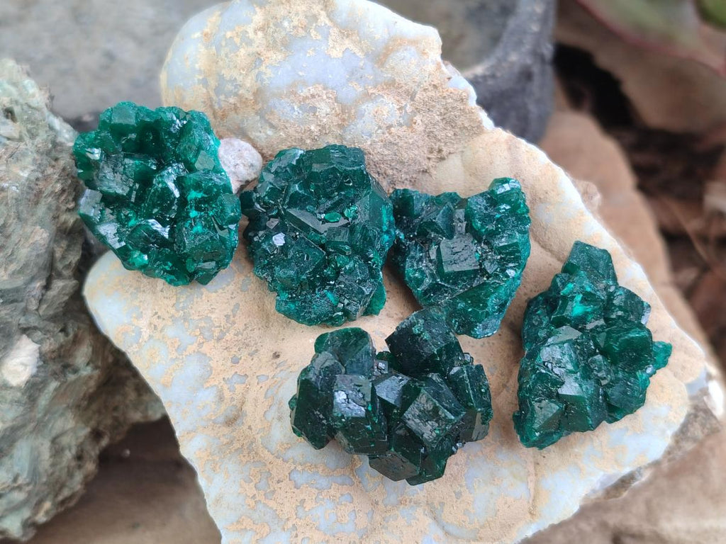 Natural Dioptase Specimens on Dolomite Matrix x 24 From Tantara Mine, Congo - Toprock Gemstones and Minerals 