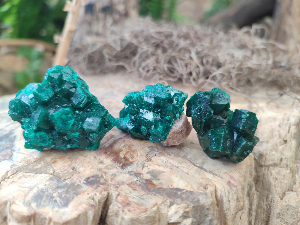Natural Dioptase Specimens on Dolomite Matrix x 24 From Tantara Mine, Congo - Toprock Gemstones and Minerals 