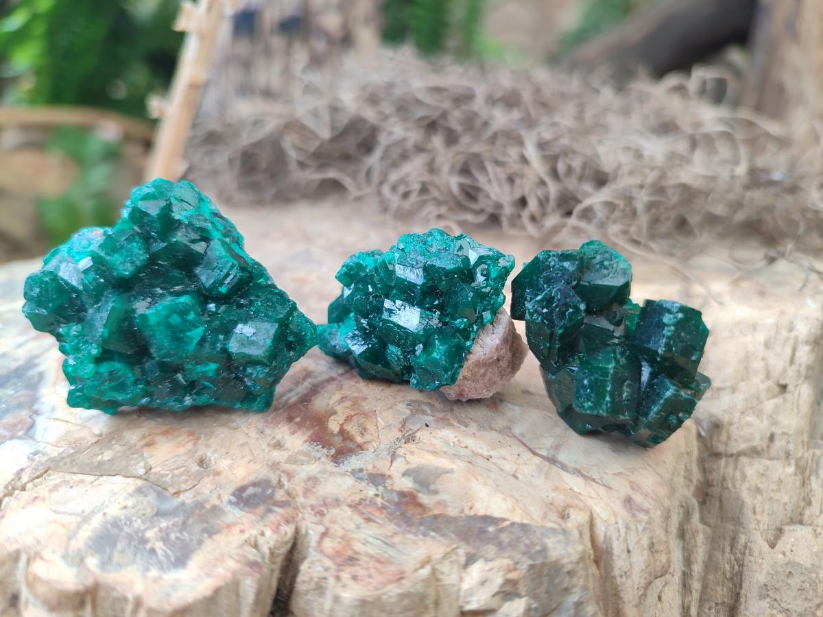 Natural Dioptase Specimens on Dolomite Matrix x 24 From Tantara Mine, Congo - Toprock Gemstones and Minerals 