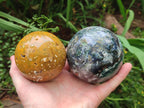 Polished and Natural Ocean Jasper Spheres x 2 From Northwest Coast, Madagascar - Toprock Gemstones and Minerals 