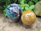 Polished and Natural Ocean Jasper Spheres x 2 From Northwest Coast, Madagascar - Toprock Gemstones and Minerals 