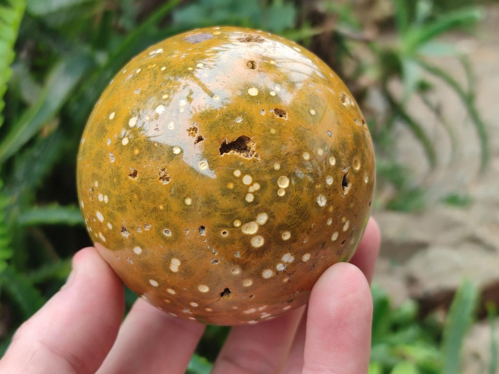 Polished and Natural Ocean Jasper Spheres x 2 From Northwest Coast, Madagascar - Toprock Gemstones and Minerals 