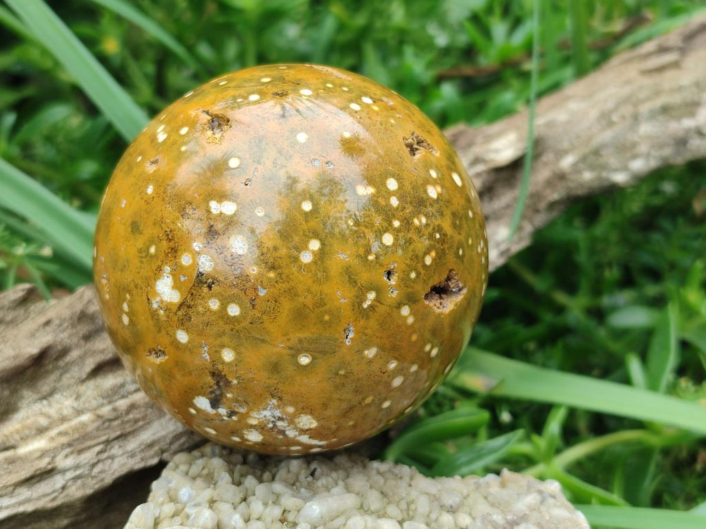 Polished and Natural Ocean Jasper Spheres x 2 From Northwest Coast, Madagascar - Toprock Gemstones and Minerals 