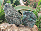 Natural Emerald Mica 'Mutokolite' Cobbed Specimens x 5 From Mutoko, Zimbabwe - Toprock Gemstones and Minerals 