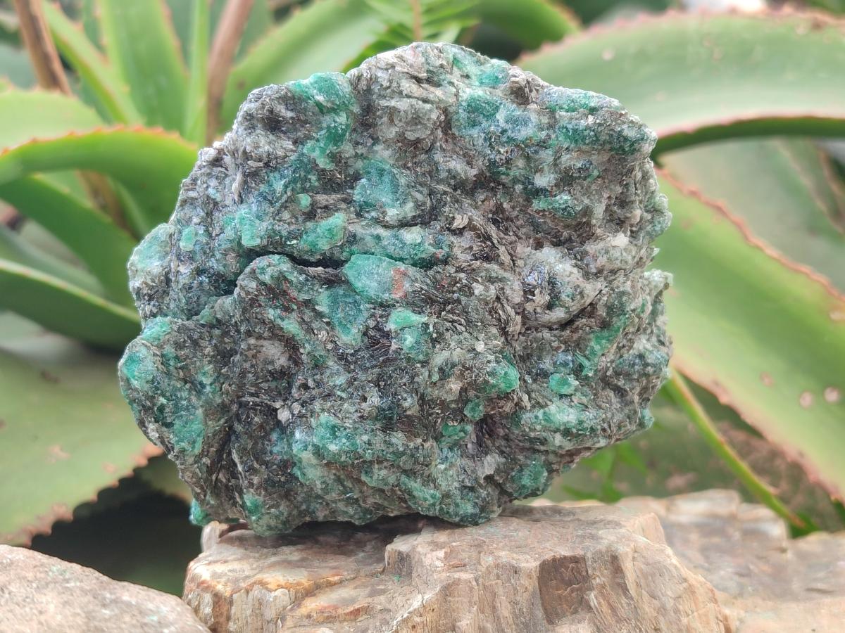 Natural Emerald Mica 'Mutokolite' Cobbed Specimens x 5 From Mutoko, Zimbabwe - Toprock Gemstones and Minerals 