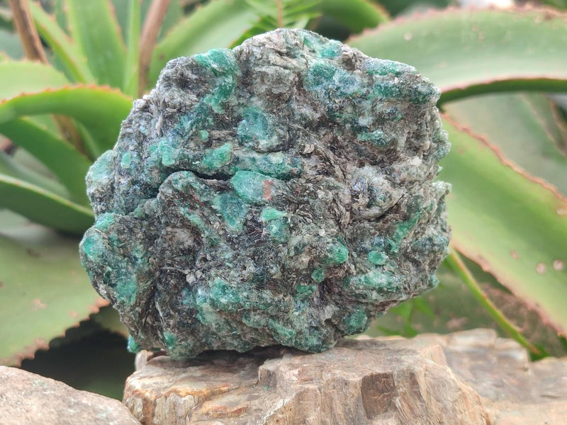 Natural Emerald Mica 'Mutokolite' Cobbed Specimens x 5 From Mutoko, Zimbabwe - Toprock Gemstones and Minerals 