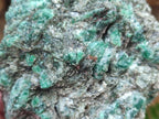 Natural Emerald Mica 'Mutokolite' Cobbed Specimens x 5 From Mutoko, Zimbabwe - Toprock Gemstones and Minerals 