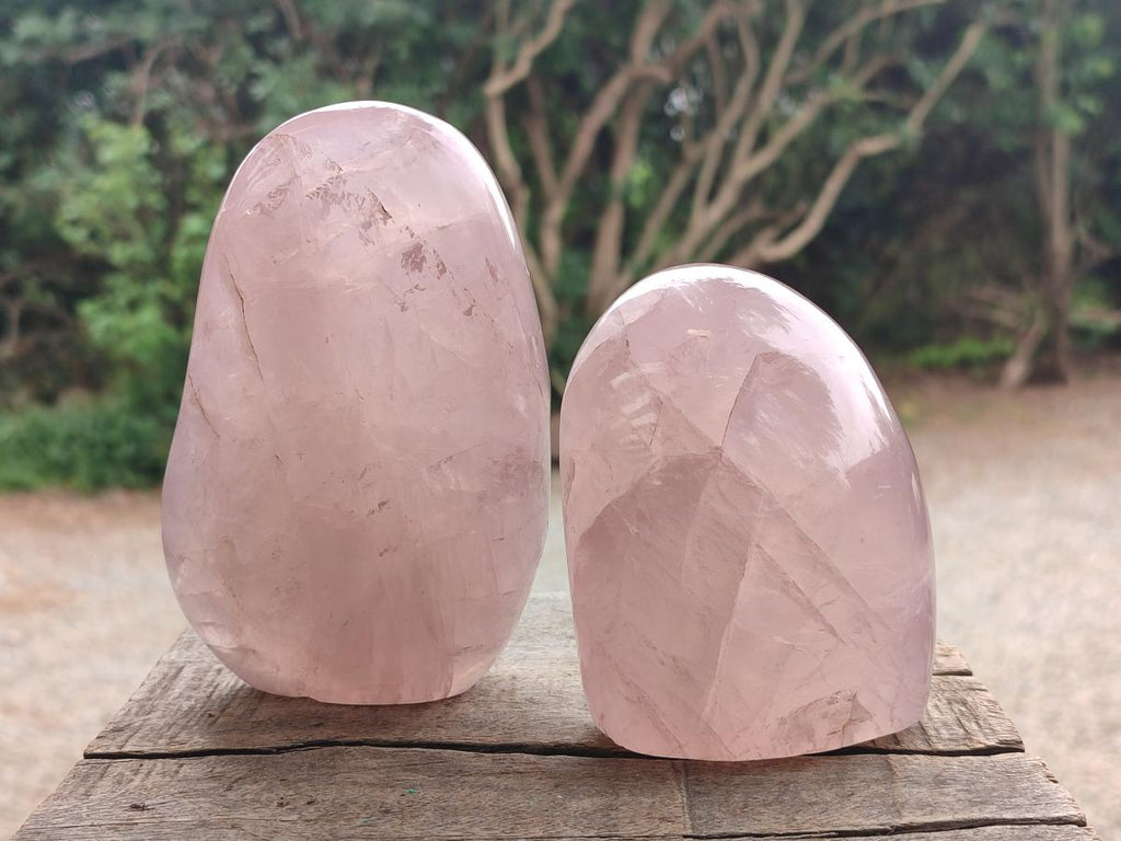 Polished Gemmy Rose Quartz Standing Display Pieces x 2 From Madagascar - Toprock Gemstones and Minerals 